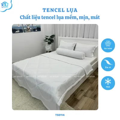 Bộ Chăn Ga Gối Tencel Lụa RIO Standard F5TSD ( 5 Món )